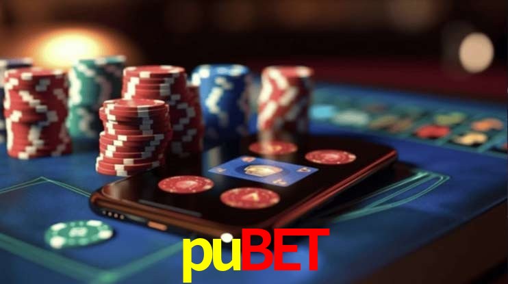 Experiência VIP pubet