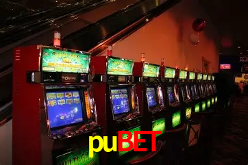 A Experiência Imersiva dos Cassinos Ao Vivo no pubet