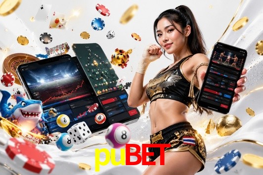 Security Systems pubet
