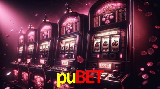 Programa VIP pubet