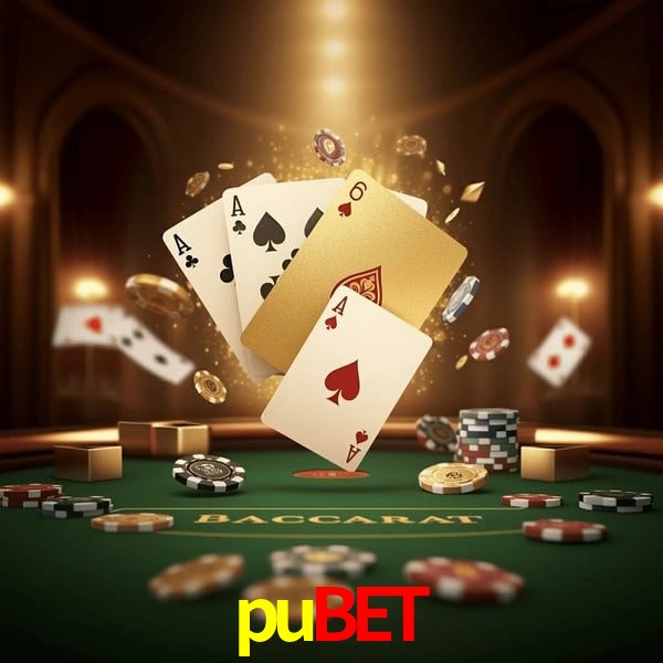 VIP Casino pubet